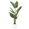 American Art Decor 5ft. Realistic Artificial Palm Tree in White Pot